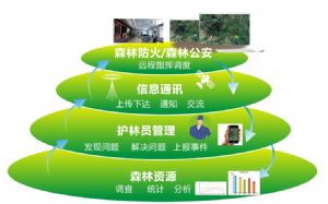 森林卡口語音之森林安全立體防控系統