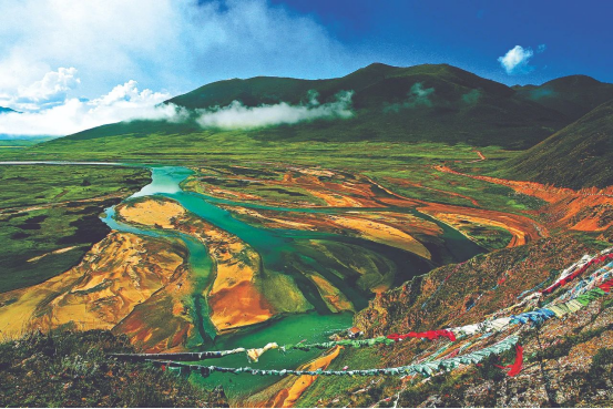 習近平總書記考察青海重要講話在青海省林草干部職工中引發(fā)熱烈反響