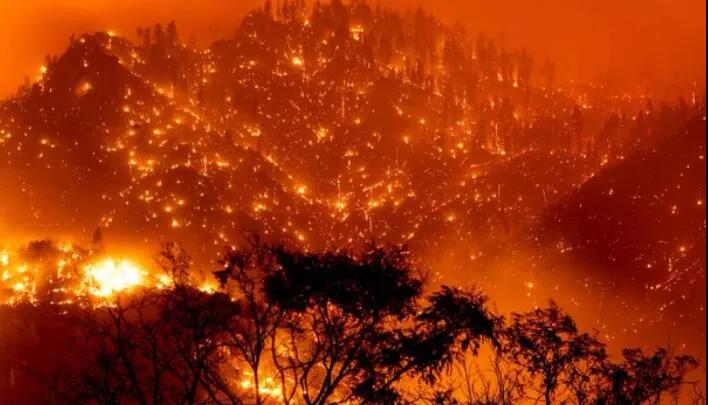 美國104處大規模山火在燃燒 過火面積超9700平方公里