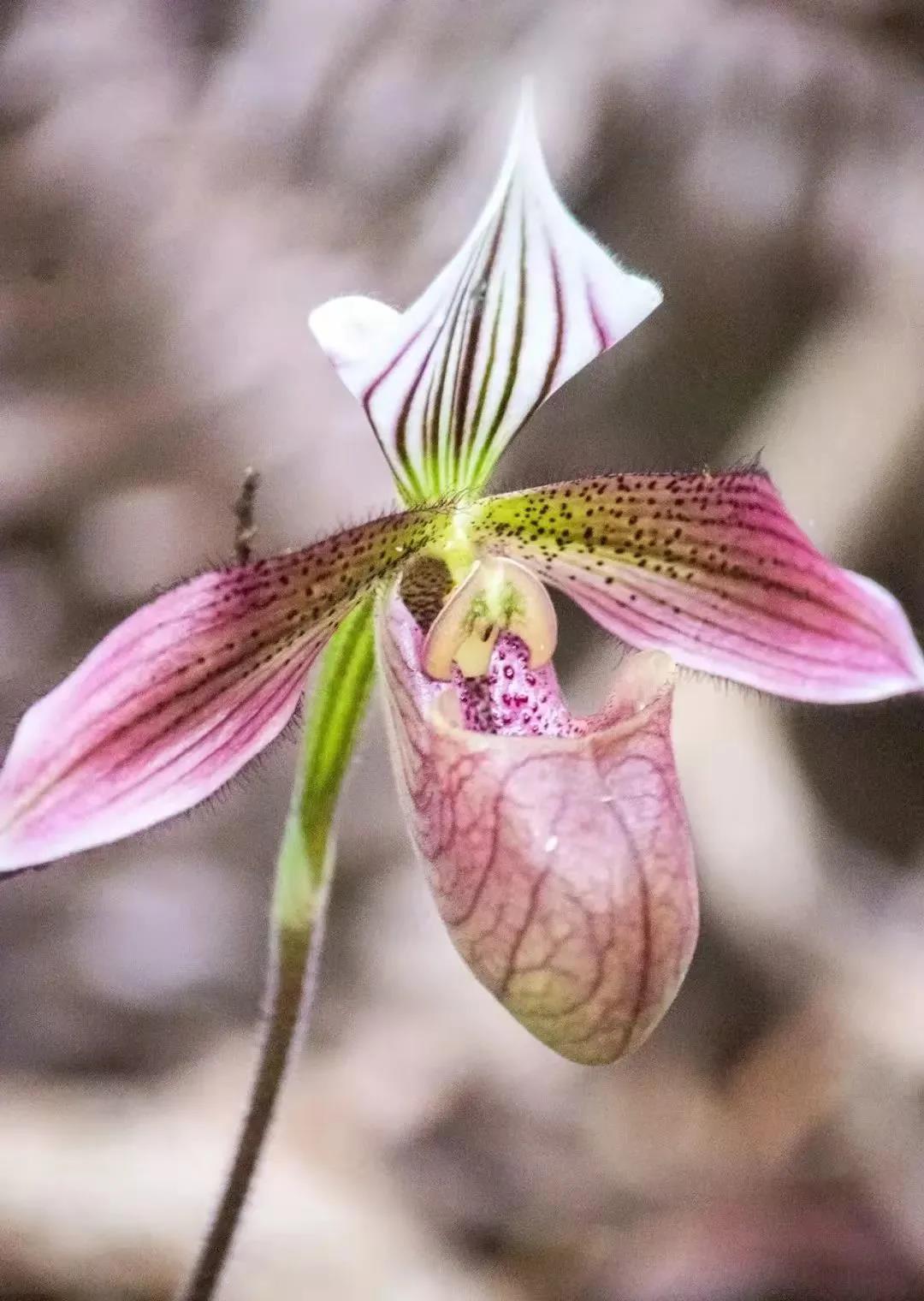 1e2a234df0f581a81ac3729708bf52e9.jpg 001.jpg