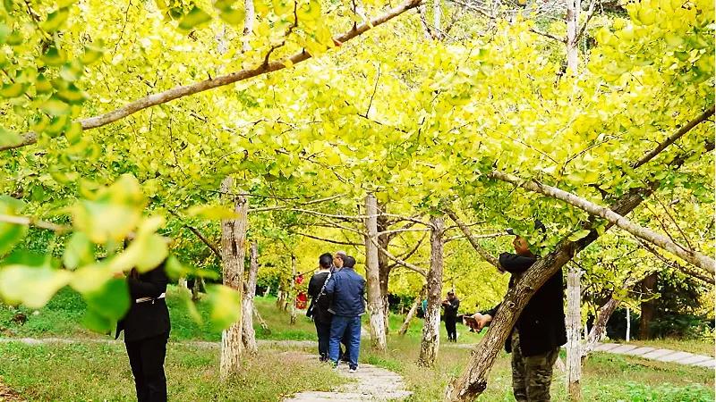 0d40c5a2d8687499b7813ec1a271939d.jpg 002.jpg