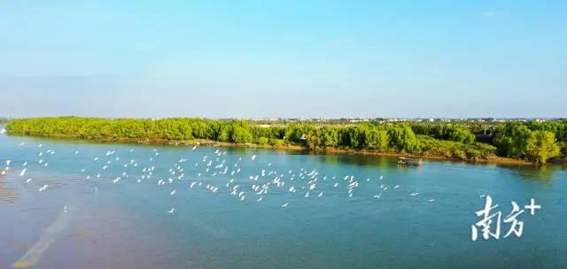 05fe3f7d33e97b175a7858c65ec4a2bd.jpg 002.jpg