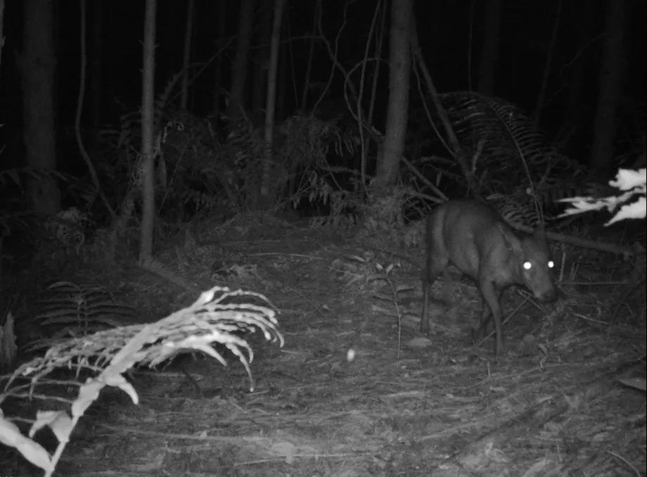 8b709c606eeca153c461242d6ce79c27.jpg 003.jpg