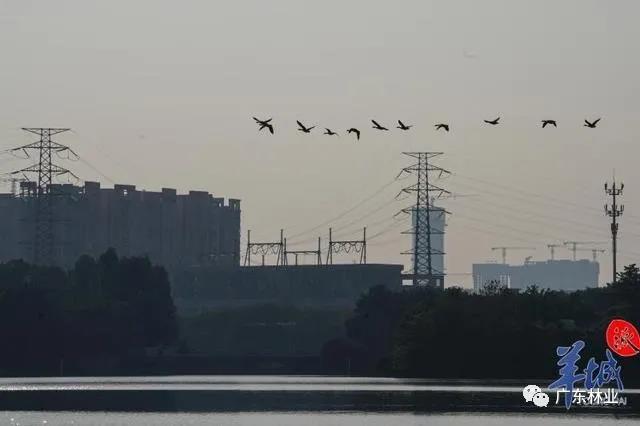 0bc74b14a9a52c6d4c1c0e9c16107ed2.jpg 009.jpg