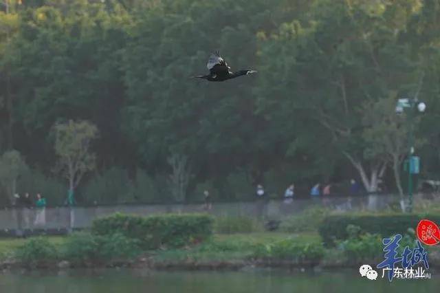 9c45f68904f72515928bd6c32bc27005.jpg 007.jpg