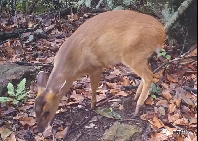 ce64e93bf7162d981955813fe568d9b1.jpg 001.jpg