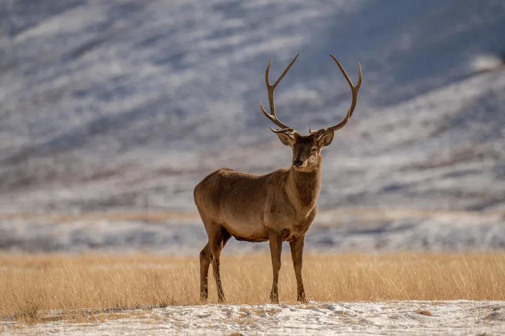 9e849d53c32d7dc6a5ef8ed355f31543.jpg 001.jpg