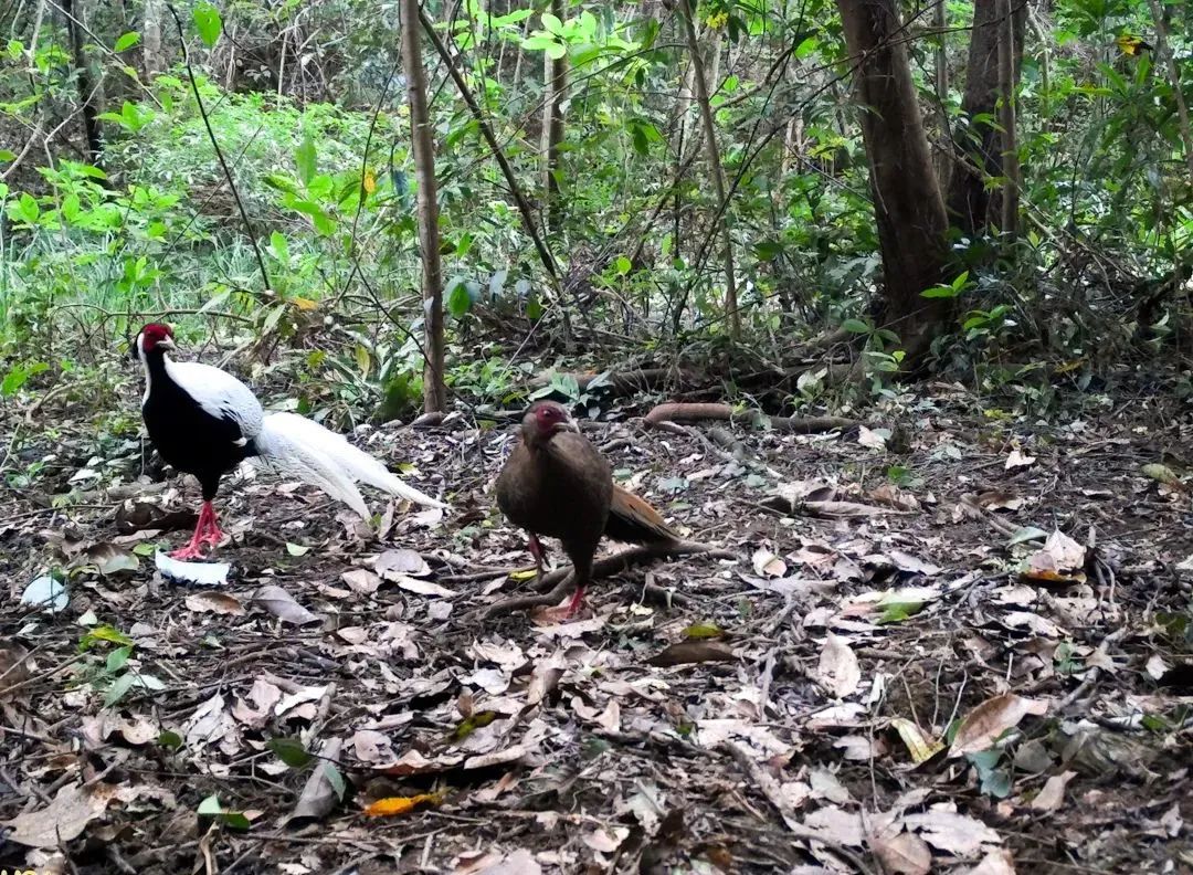 02e7d839760bcad91909cfb2ffa975fd.jpg 001.jpg