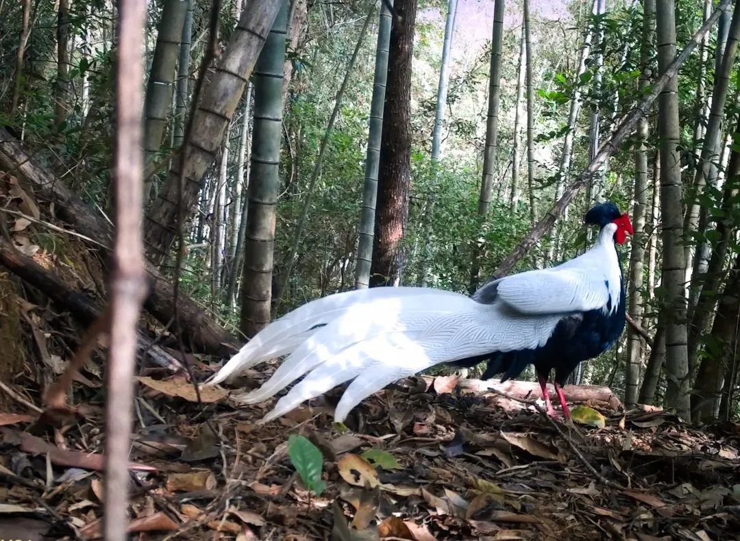 b6ce52ac52330c873dd35c698e30ccc0.jpg 003.jpg